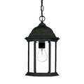 Matte Black Glass Lantern Hanging Light