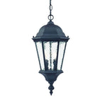 Two Light Matte Black Carousel Lantern Hanging Light