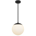 10" Black And White Frosted LED Dimmable Outdoor Globe Hanging Light