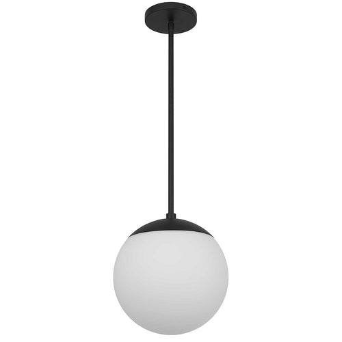 10" Black And White Frosted LED Dimmable Outdoor Globe Hanging Light