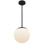 10" Black And White Frosted LED Dimmable Outdoor Globe Hanging Light