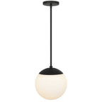 10" Black And White Frosted LED Dimmable Outdoor Globe Hanging Light