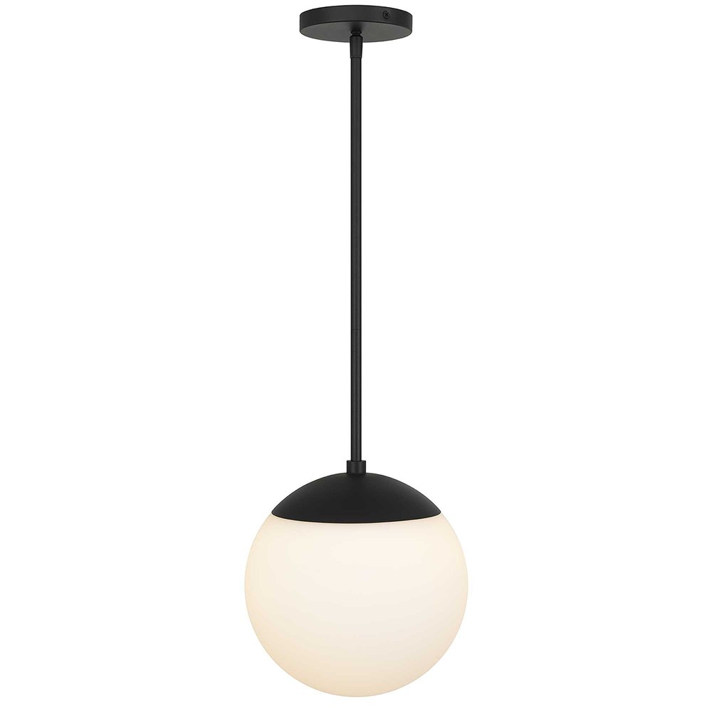 10" Black And White Frosted LED Dimmable Outdoor Globe Hanging Light