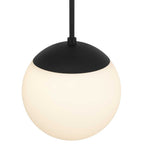 10" Black And White Frosted LED Dimmable Outdoor Globe Hanging Light