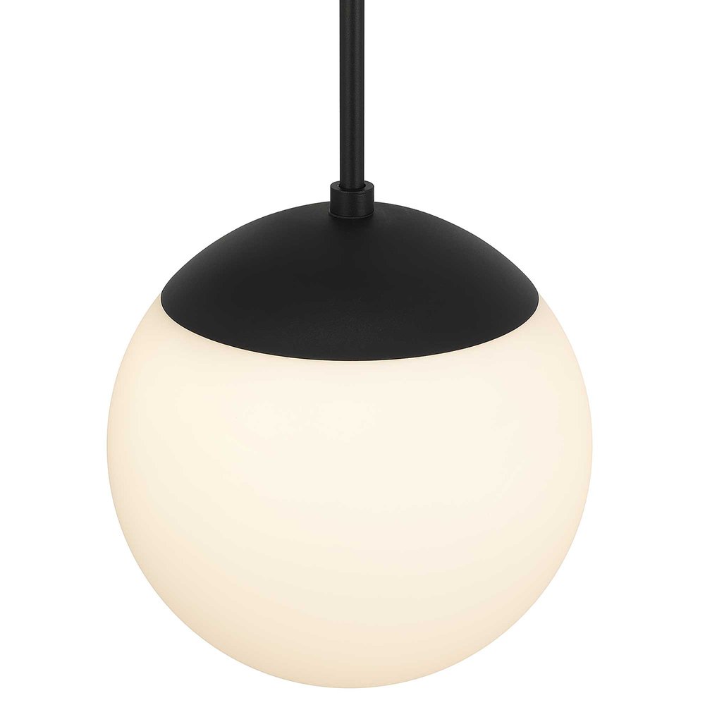 10" Black And White Frosted LED Dimmable Outdoor Globe Hanging Light