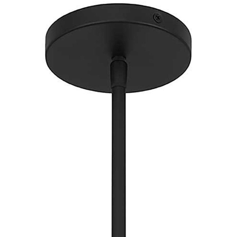 10" Black And White Frosted LED Dimmable Outdoor Globe Hanging Light