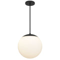 Black And White Frosted LED Dimmable Outdoor Hanging Light With Black Shades