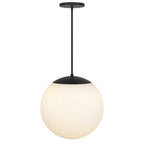 Black And White Frosted LED Dimmable Outdoor Hanging Light With Black Shades