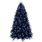 6' Black Pre Lit Full Spruce Christmas Tree