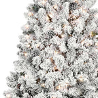 4' Pre Lit Full Flocked Spruce Christmas Tree