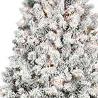 4' Pre Lit Full Flocked Spruce Christmas Tree