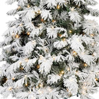 5' Green And White Pre Lit Full Flocked Pine Christmas Tree