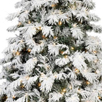 5' Green And White Pre Lit Full Flocked Pine Christmas Tree