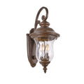 Bronze Transparent Outdoor Hanging Light