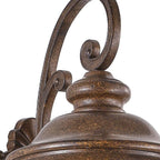 Bronze Transparent Outdoor Hanging Light