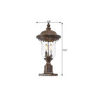 Bronze Transparent Outdoor Hanging Light