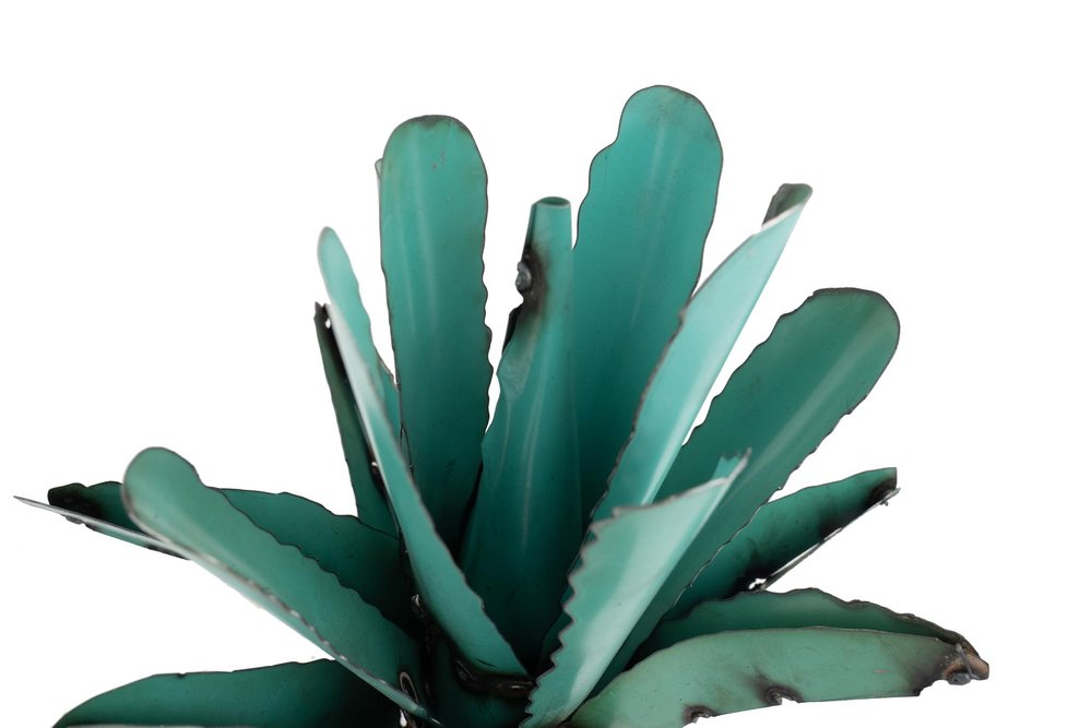 11" Turquoise Metal Succulent Garden Hanging Wall or Door Decor