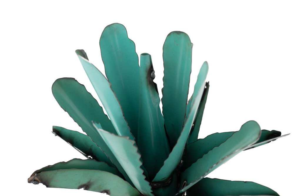 11" Turquoise Metal Succulent Garden Hanging Wall or Door Decor