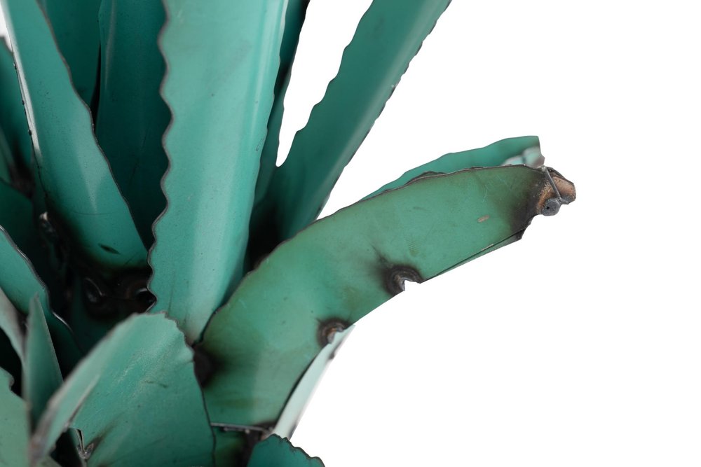 11" Turquoise Metal Succulent Garden Hanging Wall or Door Decor