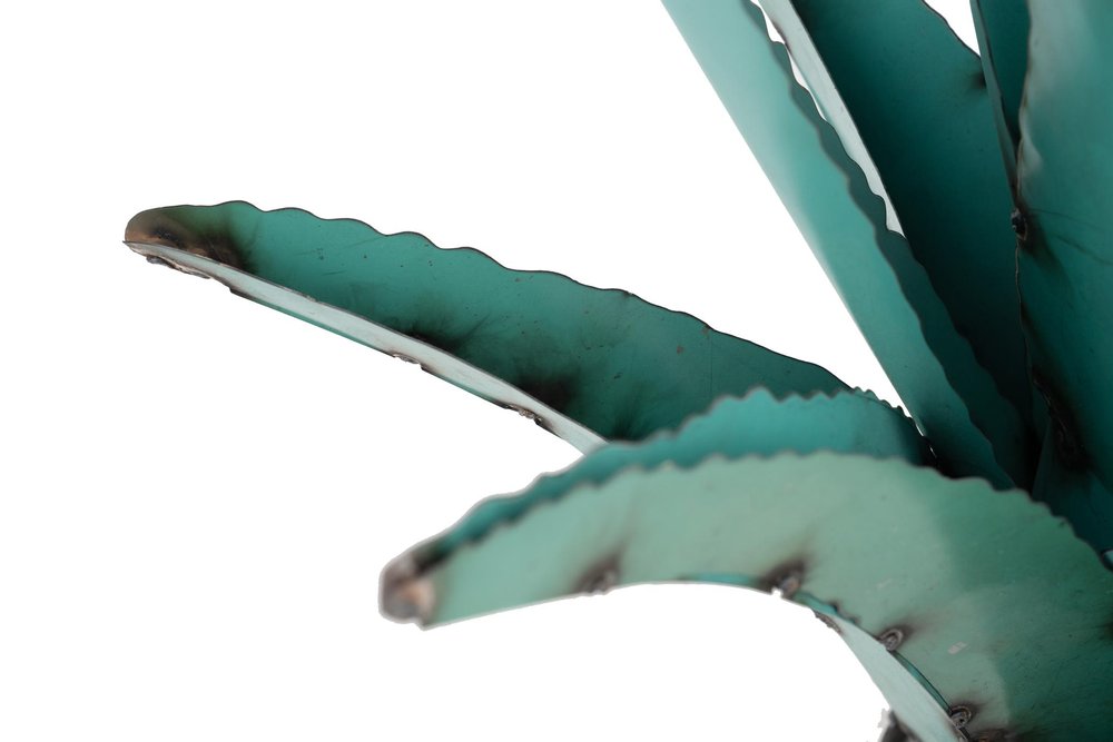 20" Turquoise Metal Succulent Garden Hanging Wall or Door Decor